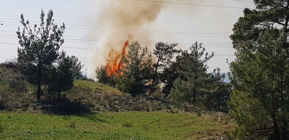 Antalya’nın Manavgat ilçesinde çıkan orman yangını kontrol altına alınmaya çalışılıyor