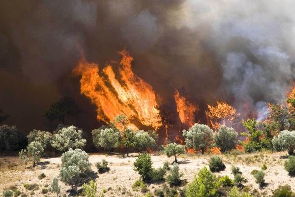 ANTALYA Orman Bölge Müdürlüğü’nün araştırmasında, orman yangınlarının en çok  çıktığı gün ve saatler belirlendi