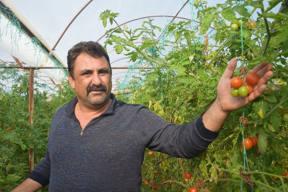 Antalyalı çiftçiler, aracılara sattıkları ürünlerinin market ve pazarlarda 2 katı fiyatına satılmasına tepki gösterdi.