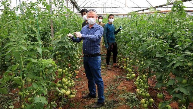 Antalyalı çiftçiler üretime hız kesmeden devam ediyor