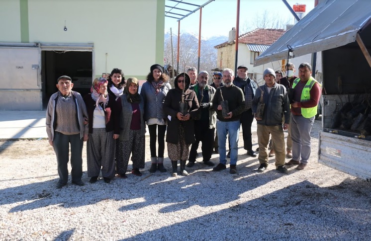 ANTALYALI ÇİFTÇİLERE CEVİZ VE MEYVE AĞACI FİDANI DAĞITILIYOR