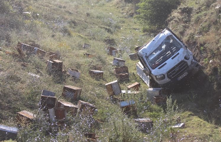 Arı yüklü kamyonet devrildi arılar etrafa dağıldı