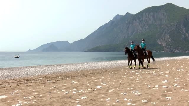 Atlı jandarma, kaplumbağaların, sahillerin ve tarihin koruyucusu