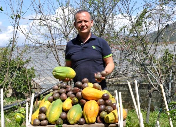 Bağışıklık sistemini güçlendiren tropikal meyveler