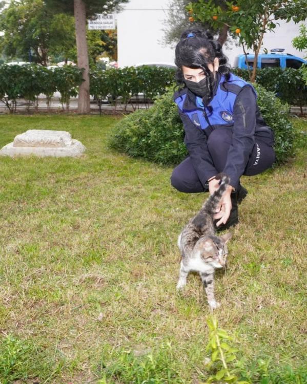 Balık iğnesiyle yaralanan kedi, 3 haftada tedavi edildi