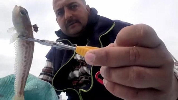 Balıkçı zehirli trakonya balığı ile zor anlar yaşadı