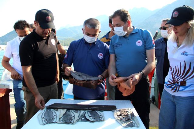 'Balon Balığı Avcılığının Desteklenmesi, Aslan Balığının Tüketime Kazandırılması' projesi yeniden balon balığı alımları başladı