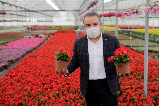 Başkan Böcek çiçek üreticisinin yanında