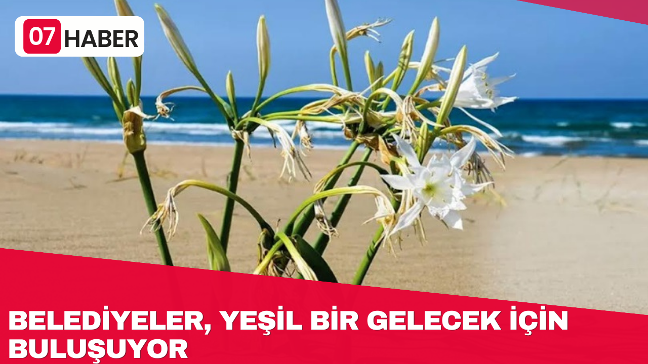 BELEDİYELER, YEŞİL BİR GELECEK İÇİN BULUŞUYOR