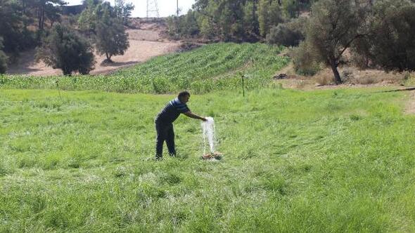 Belenobası sulama tesisi üreticinin yüzünü güldürdü