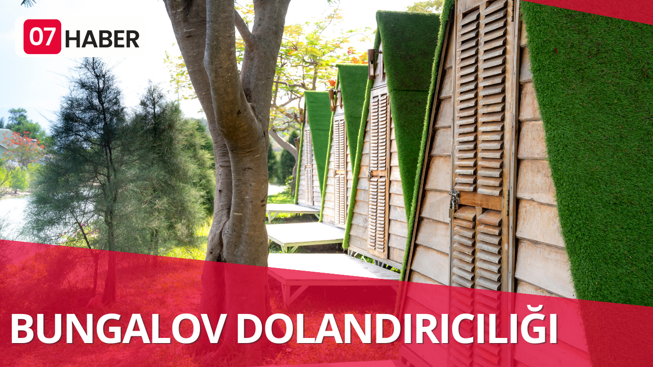 BUNGALOV DOLANDIRICILIĞI