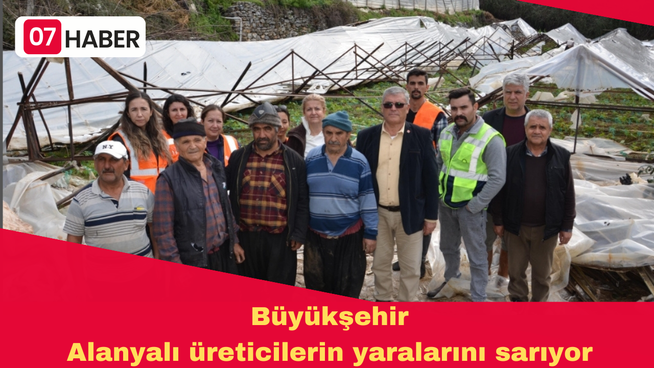 Büyükşehir Alanyalı üreticilerin yaralarını sarıyor