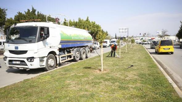 Büyükşehir Belediyesi kent merkezindeki cadde ve bulvarlarda ağaç dikimi gerçekleştirdi