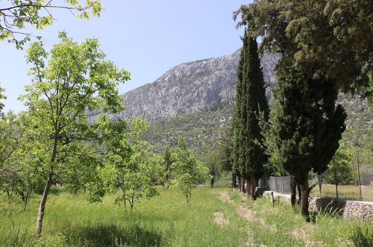 Büyükşehir Belediyesi Ormana’ya  kamp ve karavan alanı kazandırıyor