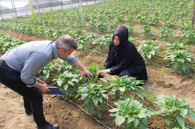 BÜYÜKŞEHİR BELEDİYESİ SERACILARIN YANINDA