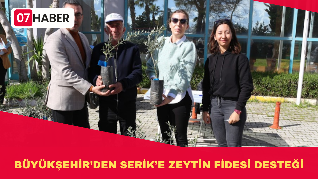 BÜYÜKŞEHİR’DEN SERİK’E ZEYTİN FİDESİ DESTEĞİ