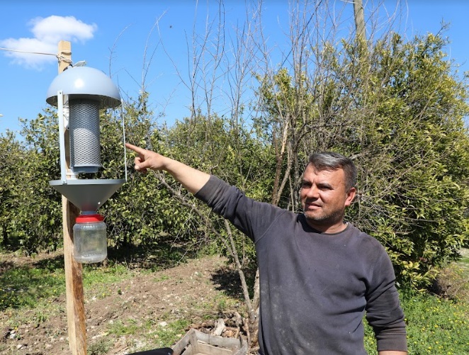 BÜYÜKŞEHİR DOMATES GÜVESİNE ‘IŞIK TUZAK’ KURDU