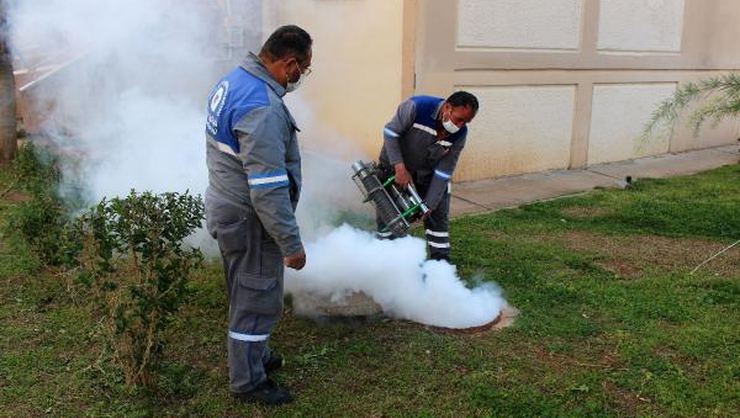 Büyükşehir'in vektörel mücadelesi hız kesmiyor