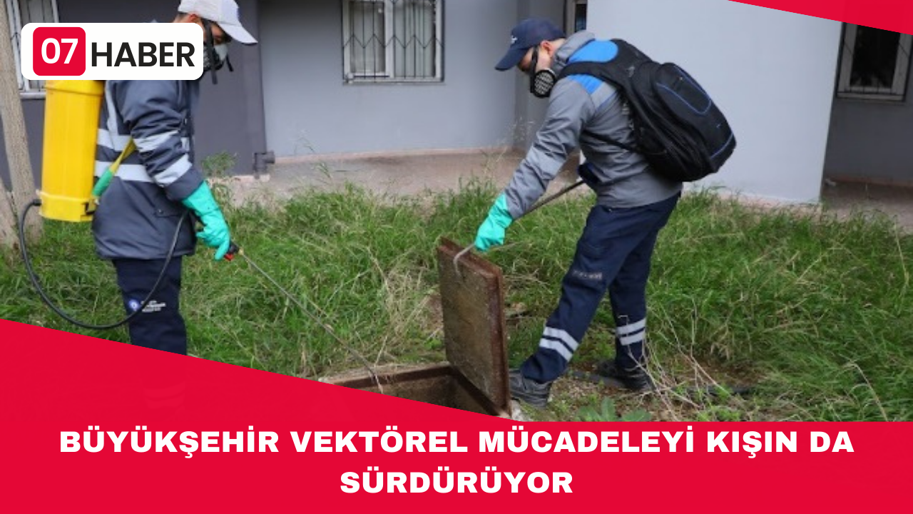 BÜYÜKŞEHİR VEKTÖREL MÜCADELEYİ KIŞIN DA SÜRDÜRÜYOR