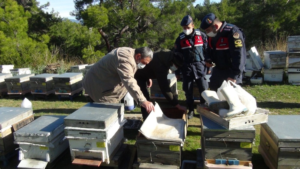 Çalınan arılarını 200 kilometre uzakta buldu