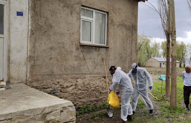 Çatıdan giren yılanlar evi talan etti! Ailenin korkup kaçtığı evden 20 tane daha çıktı