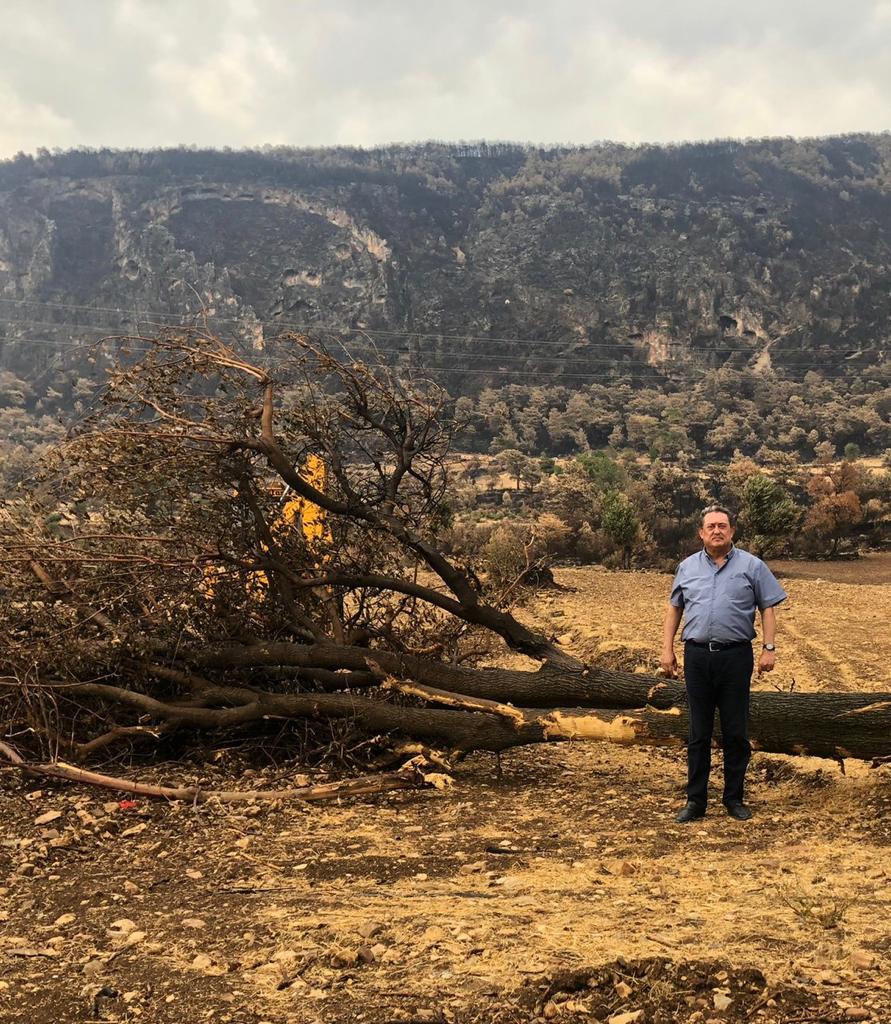 CHP'Lİ ÖZER: YANGININ YARALARI ORTAK AKILLA SARILMALI