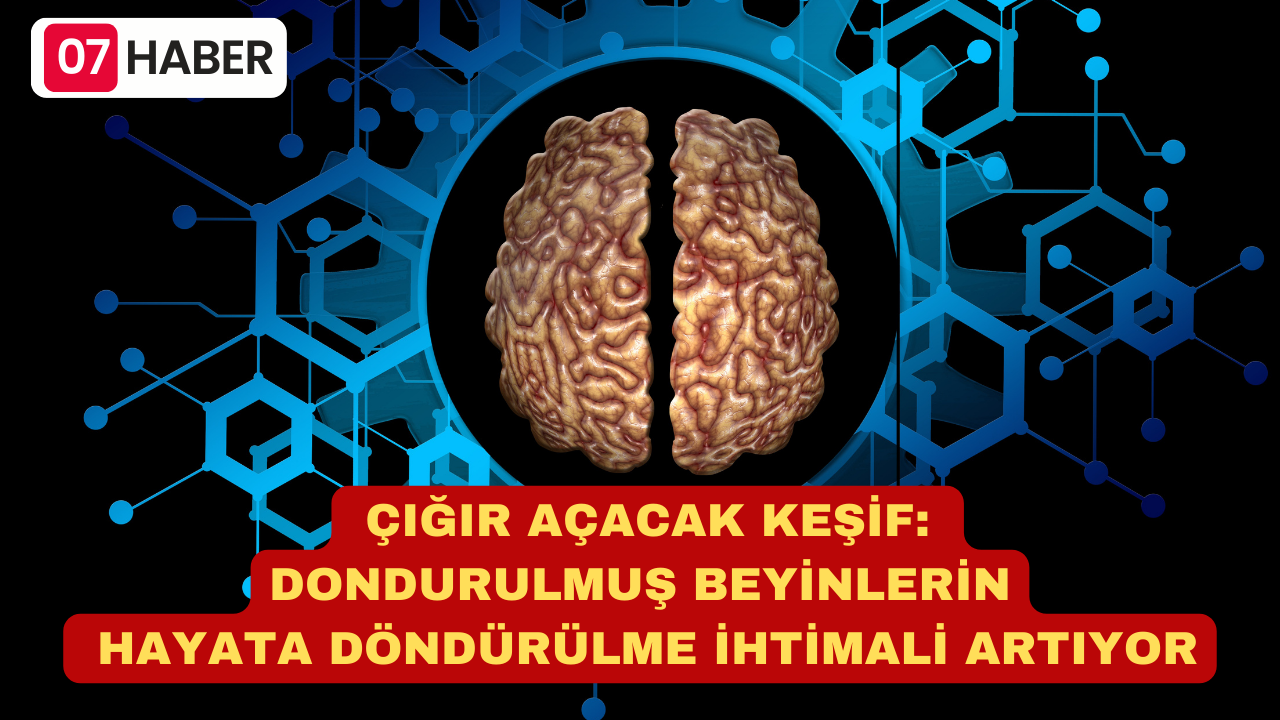 ÇIĞIR AÇACAK KEŞİF: DONDURULMUŞ BEYİNLERİN HAYATA DÖNDÜRÜLME İHTİMALİ ARTIYOR