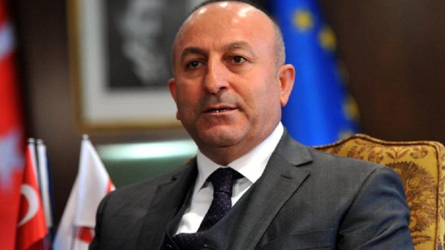 Dışişleri Bakanı Çavuşoğlu, Avrupa Konseyi Parlamenter Meclisi Başkanı Daems ile görüştü