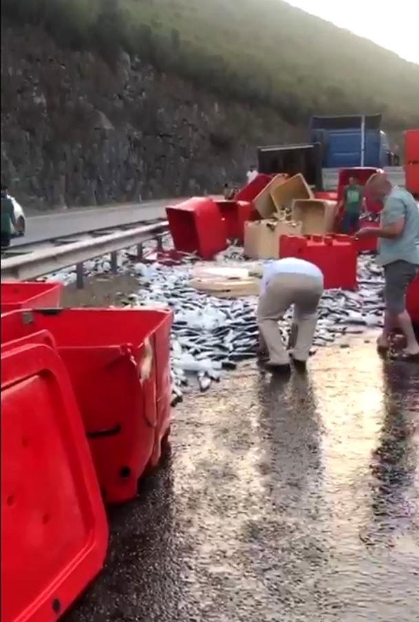 Dorse kapağı açıldı, tonlarca balık yola savruldu