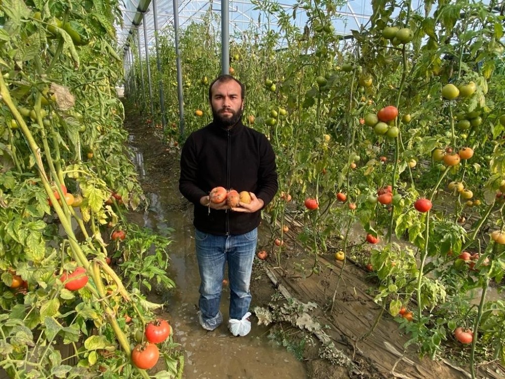 Fırtına sonrası çiftçinin durumu