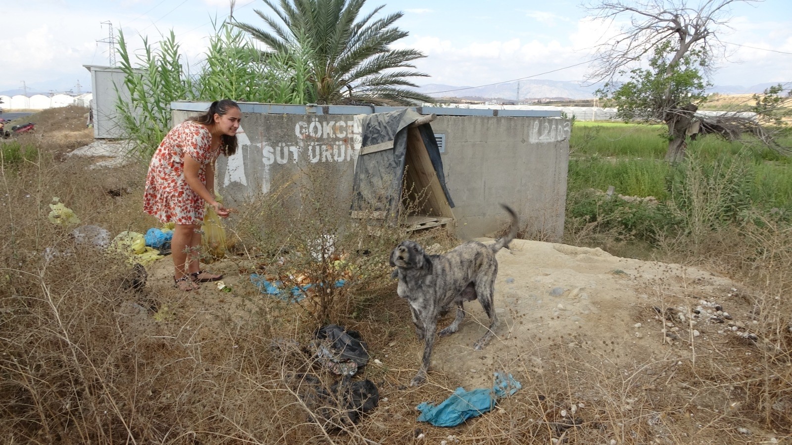 Garsonluk yapan 2 genç kadın çöpe atılan yemek atıklarıyla kedi ve köpekleri besliyor