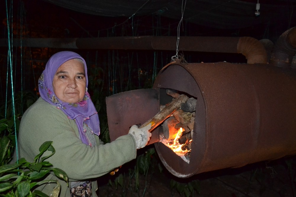 Gece boyunca seralarında don nöbeti