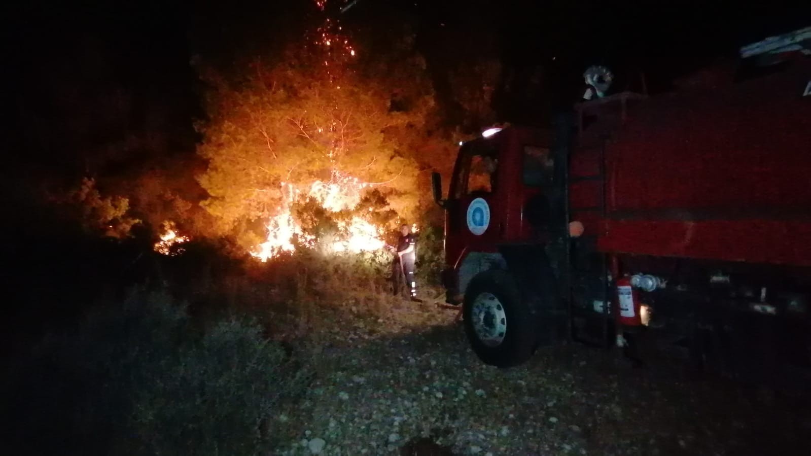 Gece çıkan orman yangını kontrol altına alındı