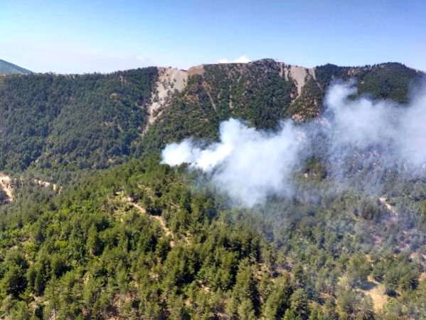 Hatay'da orman yangını; 3 hektar alan kül oldu