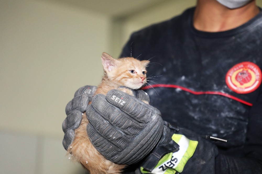 Havalandırma boşluğunda mahsur kalan yavru kedi itfaiye ekipleri tarafından kurtarıldı