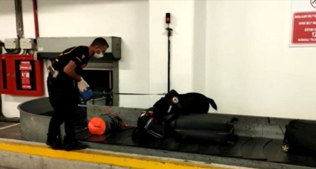 Havalimanında narkotik köpeğinin tepki verdiği valizden uyuşturucu çıktı
