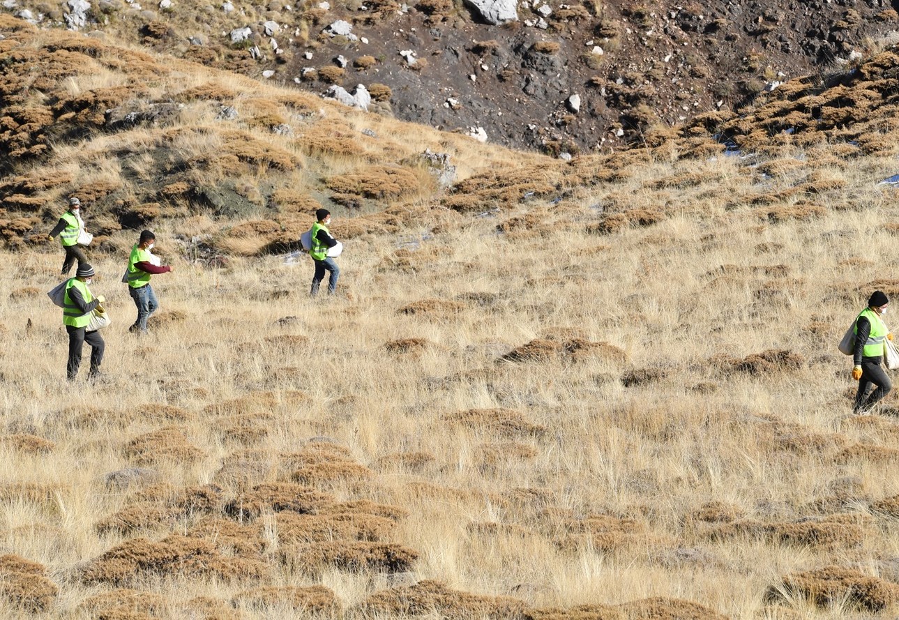 Hayvanlar için 1200 dekara gübre