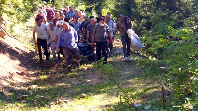 Hayvanları için yaprak toplayan kadın, feci şekilde can verdi