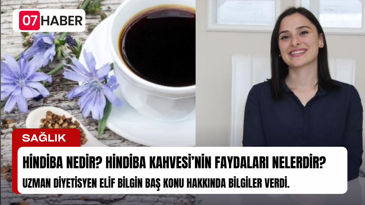 HİNDİBA NEDİR? HİNDİBA KAHVESİ'NİN FAYDALARI NELERDİR?