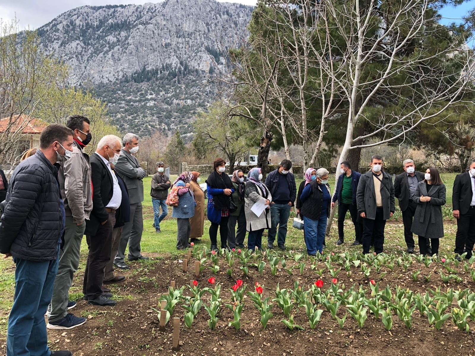  İbradı’da  dikilen10 bin lale soğanı çiçek verdi