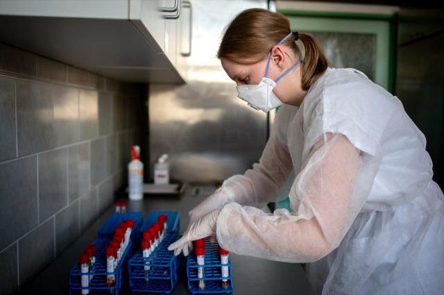 İzlanda'daki koronavirüs araştırmalarında virüsün 40 mutasyonu bulundu