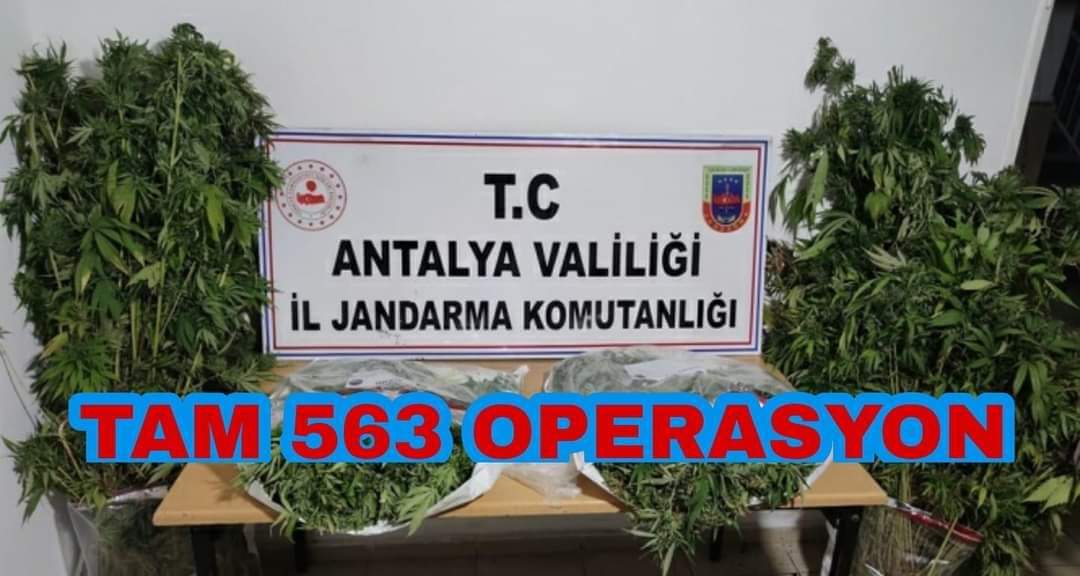 Jandarma bu yıl içerisinde 563 uyuşturucu operasyonu yaptı