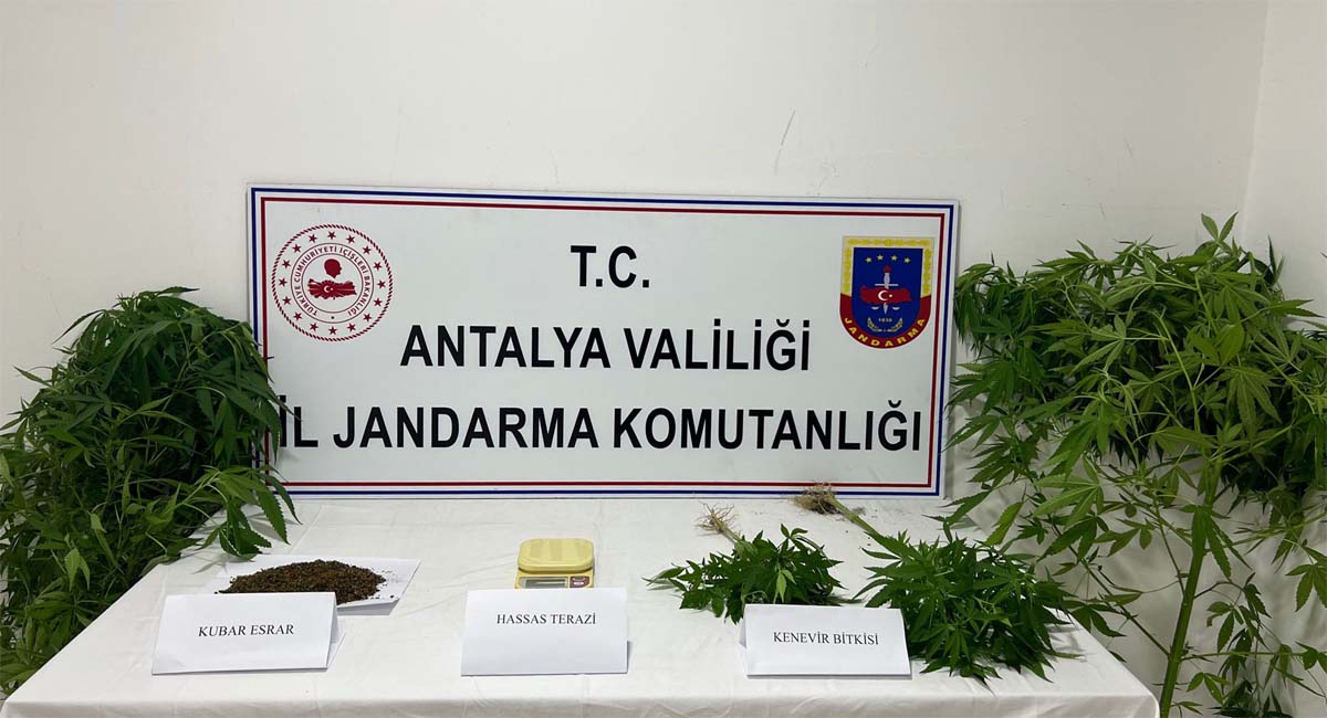 Jandarma Uyuşturucu Tacilerine Göz Açtırmıyor