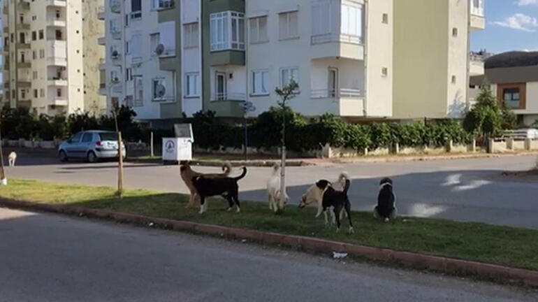 Kapıyı açınca bir anda etrafını sardılar