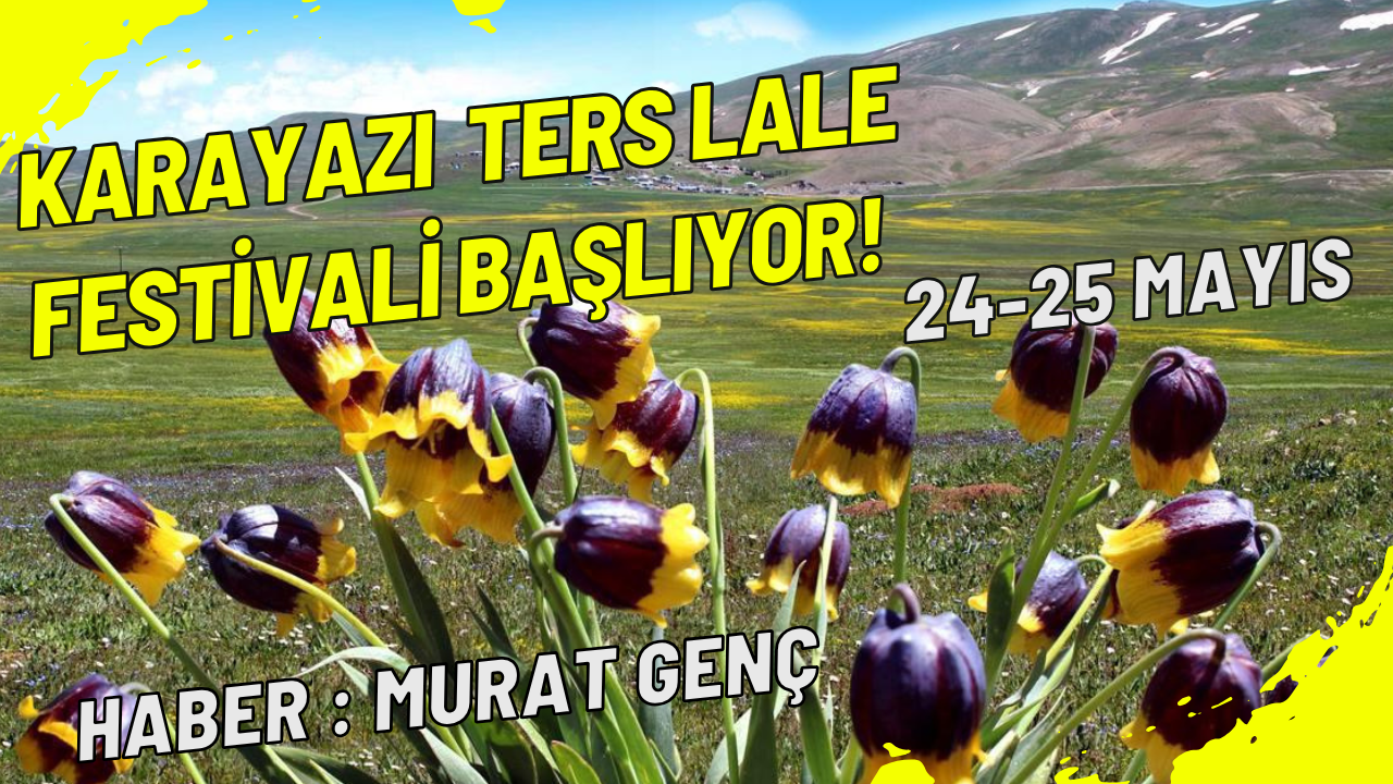 Karayazı Ters Lale Festivali Başlıyor! Doğanın, Kültürün ve Renklerin Buluşması