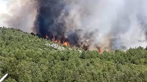 Kaş'ta makilik alanda orman yangını! müdahale sürüyor
