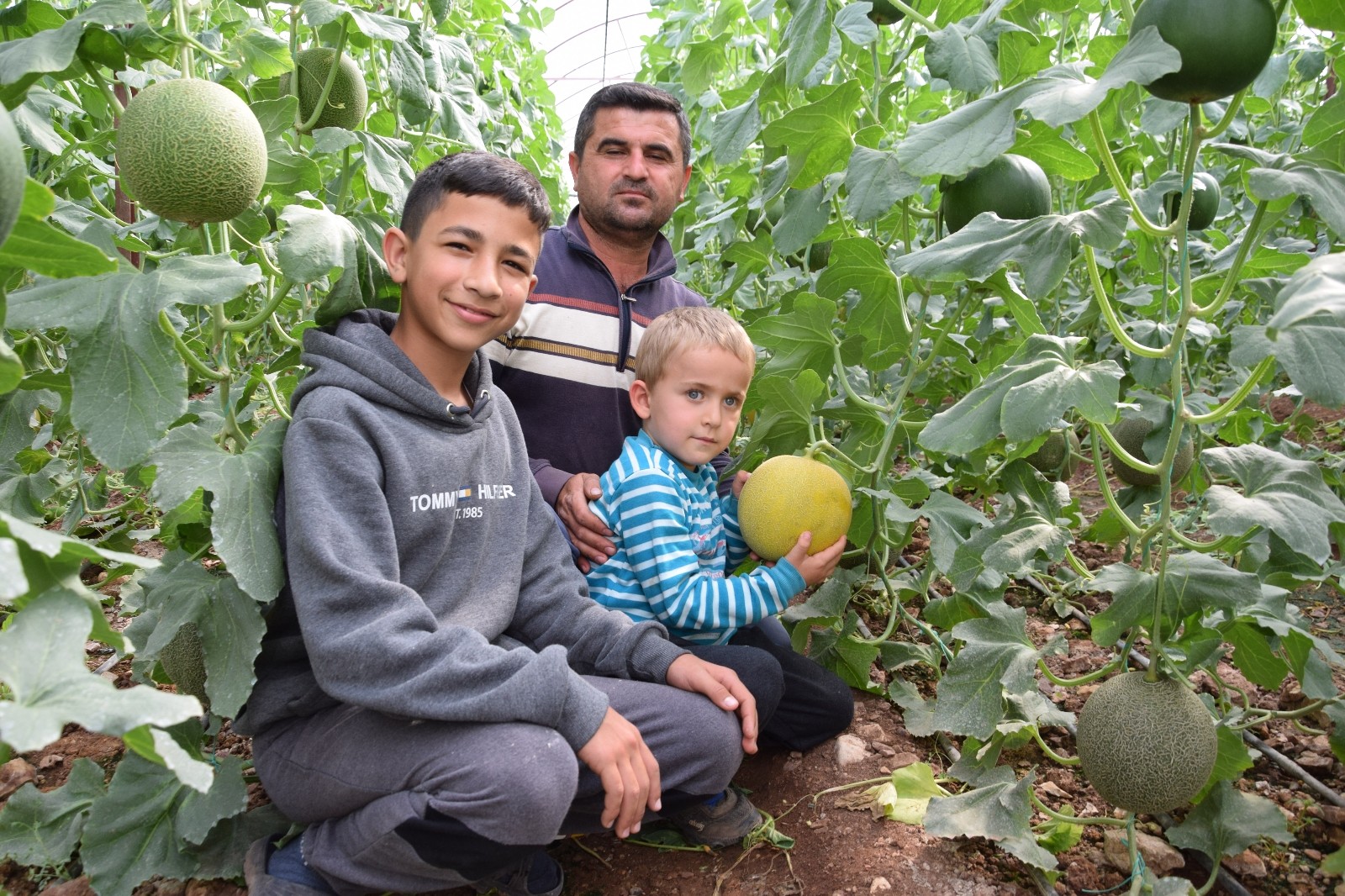 Kavunun tanesi 30 TL den satışa sunuluyor