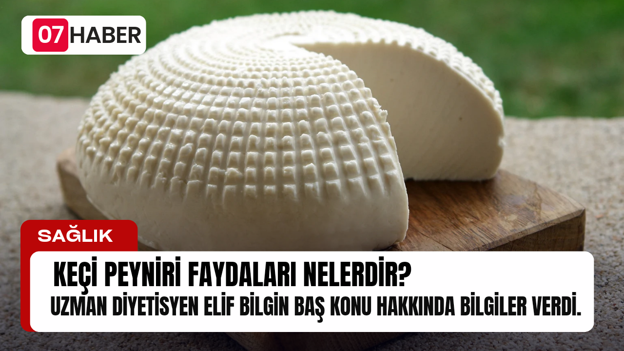 KEÇİ PEYNİRİ FAYDALARI NELERDİR?