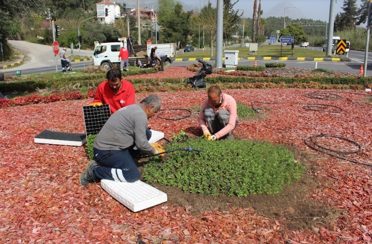 KEMER ÇİÇEKLERİYLE GÖZ KAMAŞTIRACAK