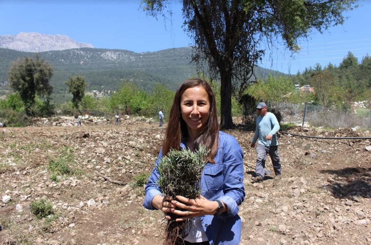 KEMER LAVANTA KOKACAK